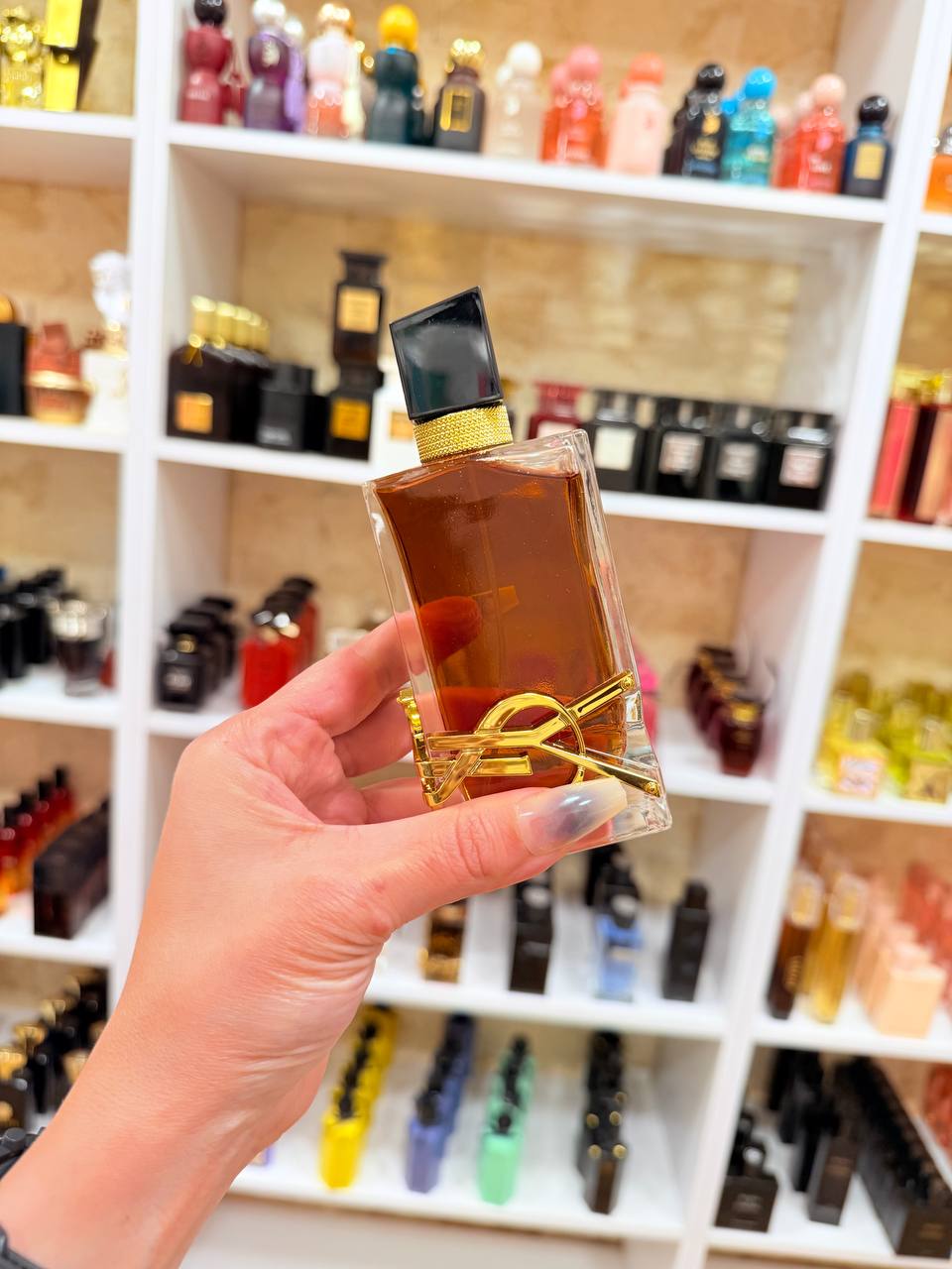 عطر ليير انتس