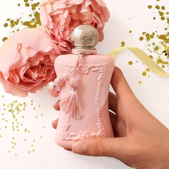 عطر دليلنا الحريمي اوت ليت